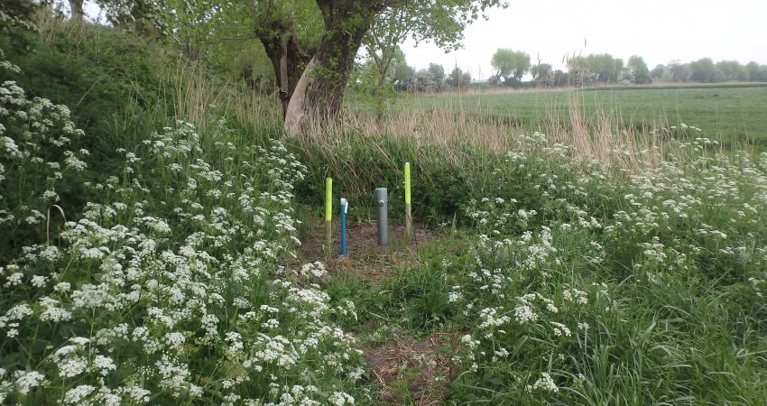 Peilbuis Waterdunen